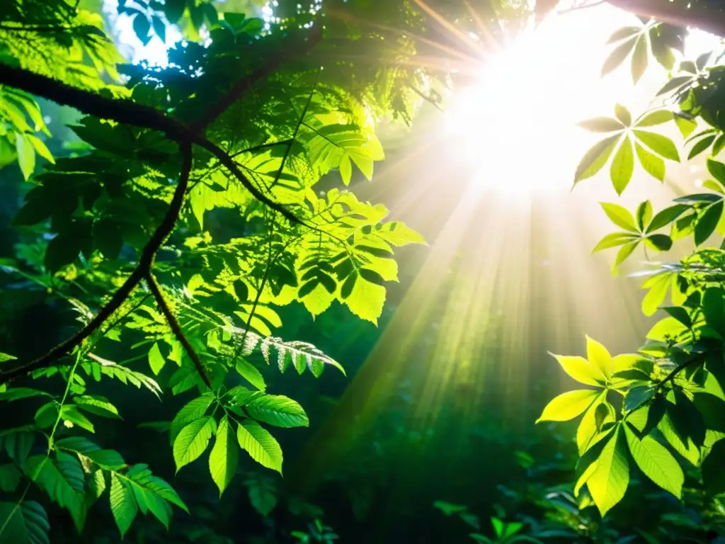 Un bosque exuberante y vibrante iluminado por el sol