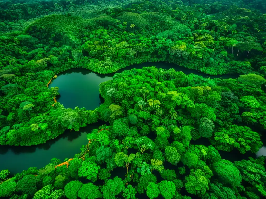 Imagen 8k del dosel del Amazonas, con vida silvestre diversa y luz solar entre las densas hojas