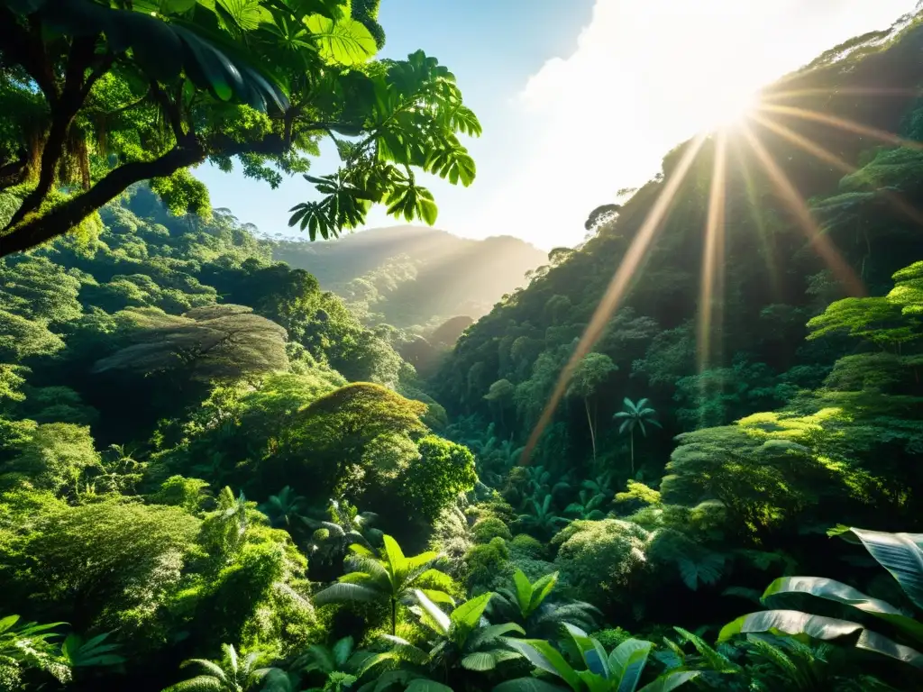 Imagen de la exuberante selva tropical, destacando la biodiversidad y la ética ambiental en filosofía sostenible