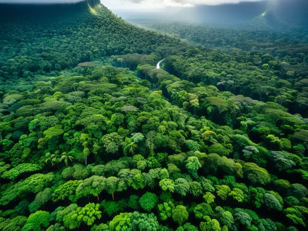 Un majestuoso bosque lluvioso con exuberante vegetación, dappled patterns de luz solar