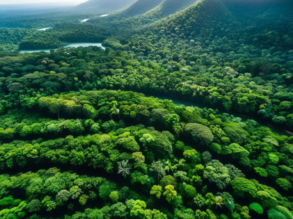 Un majestuoso paisaje de selva tropical con una exuberante diversidad de árboles y un río serpenteante