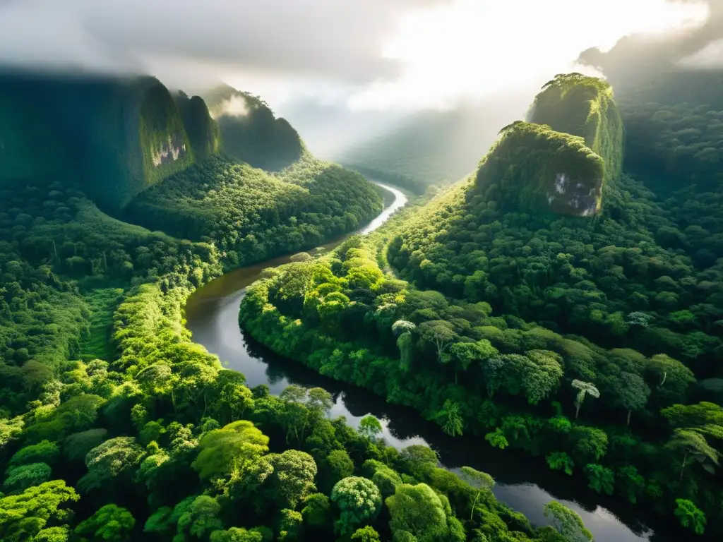 Vista aérea de exuberante selva tropical con río serpenteante, reflejando biodiversidad