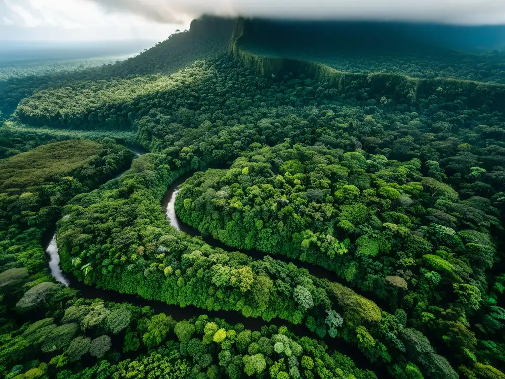 Vista aérea impresionante de un exuberante dosel de selva tropical con ríos serpenteantes